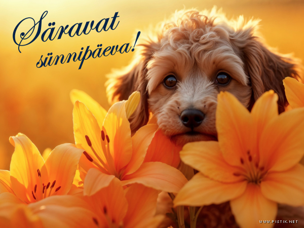 Pilt #2355 - Säravat sünnipäeva!