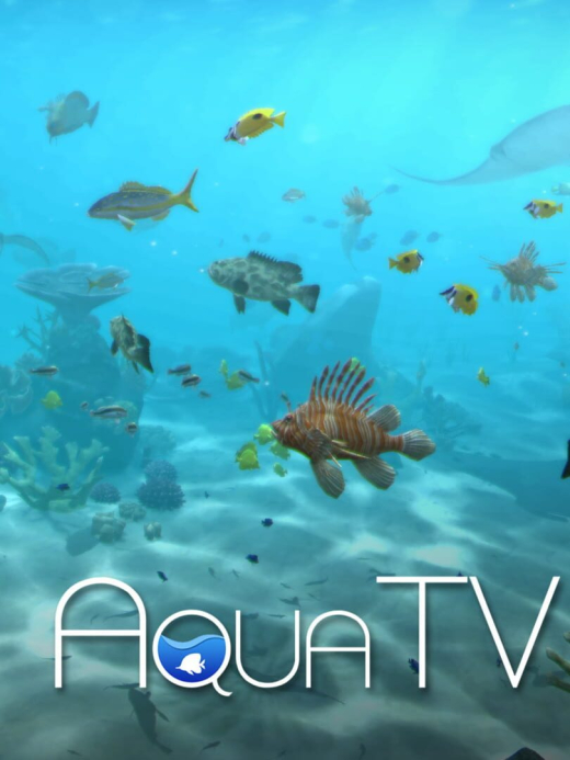 Aqua TV Wii U