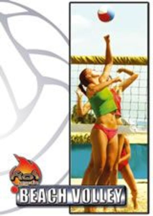 Beach Volley Hot Sports PC
