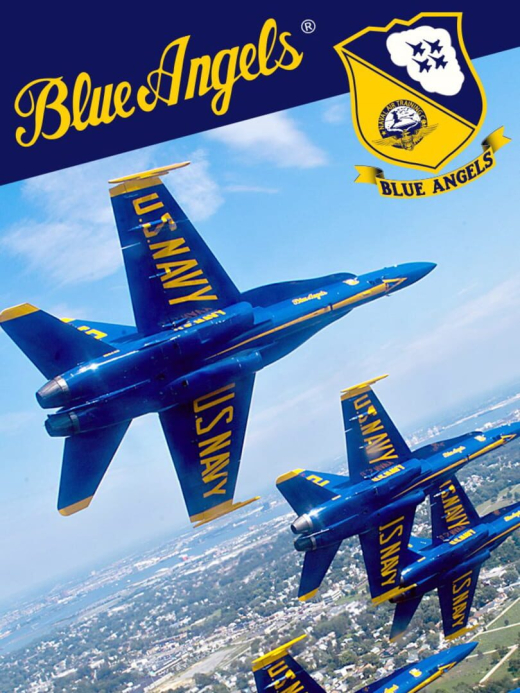 Blue Angels: Aerobatic Flight Simulator Blue Angels: Aerobatic Flight Simulator