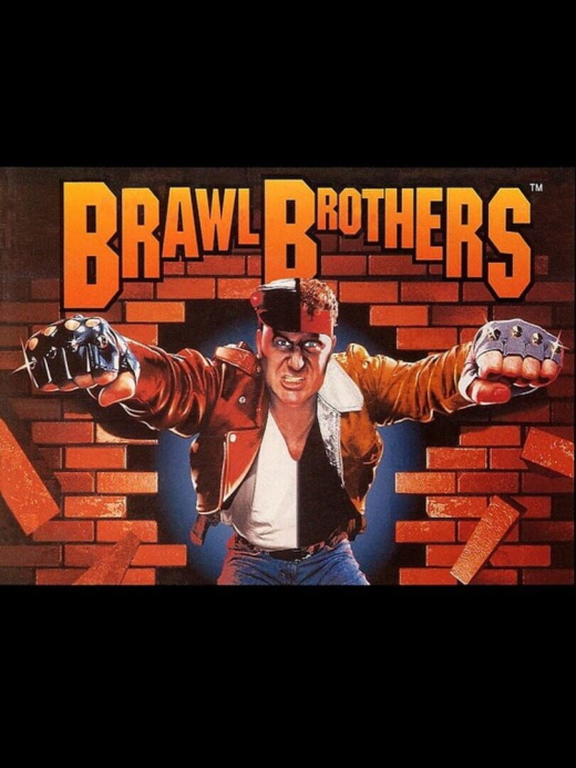Brawl Brothers Brawl Brothers