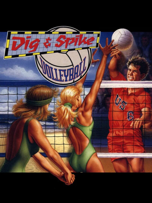 Dig & Spike Volleyball Dig & Spike Volleyball
