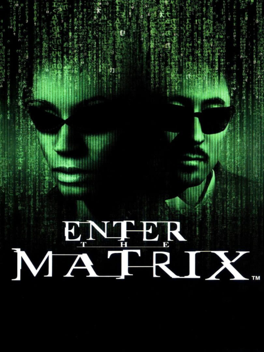 Enter the Matrix XBOX