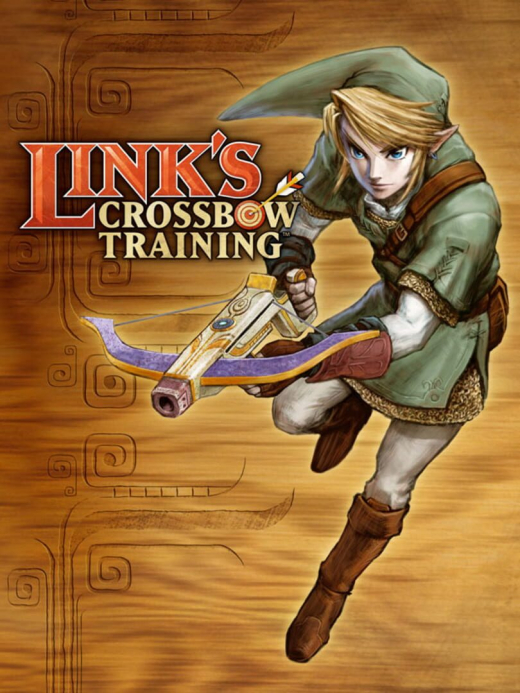 Link's Crossbow Training Wii