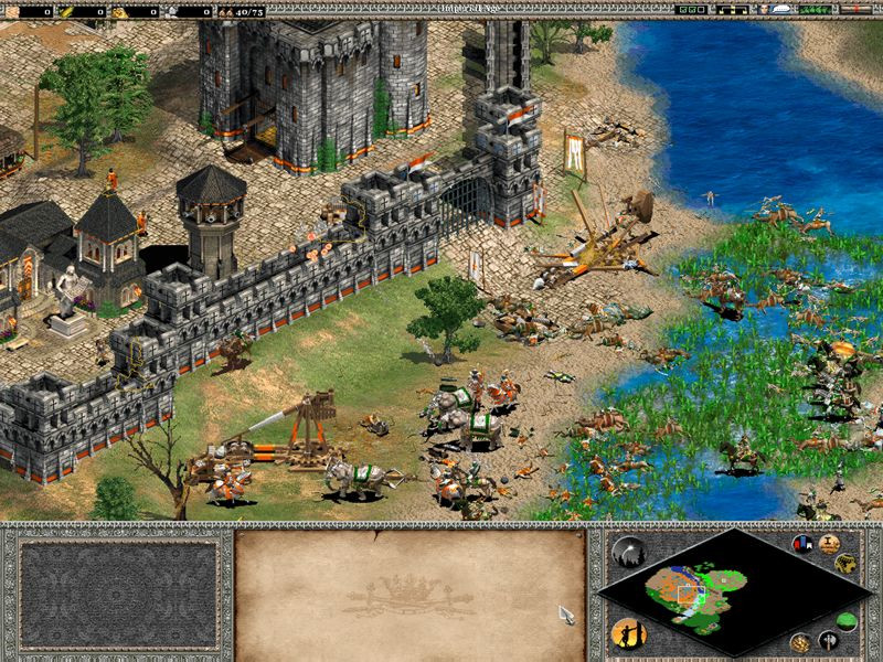 Age of Empires II: The Age of Kings 3437