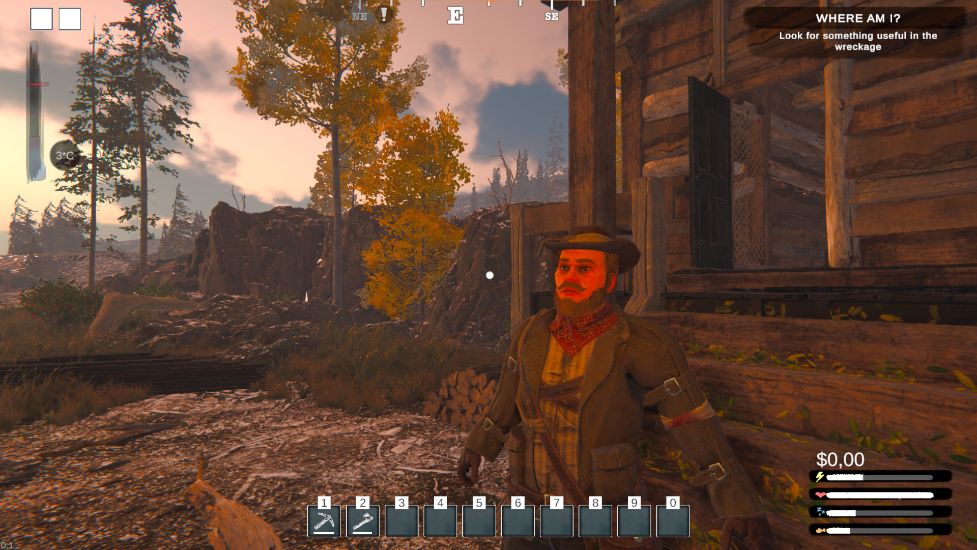 Alaska Gold Fever 6707