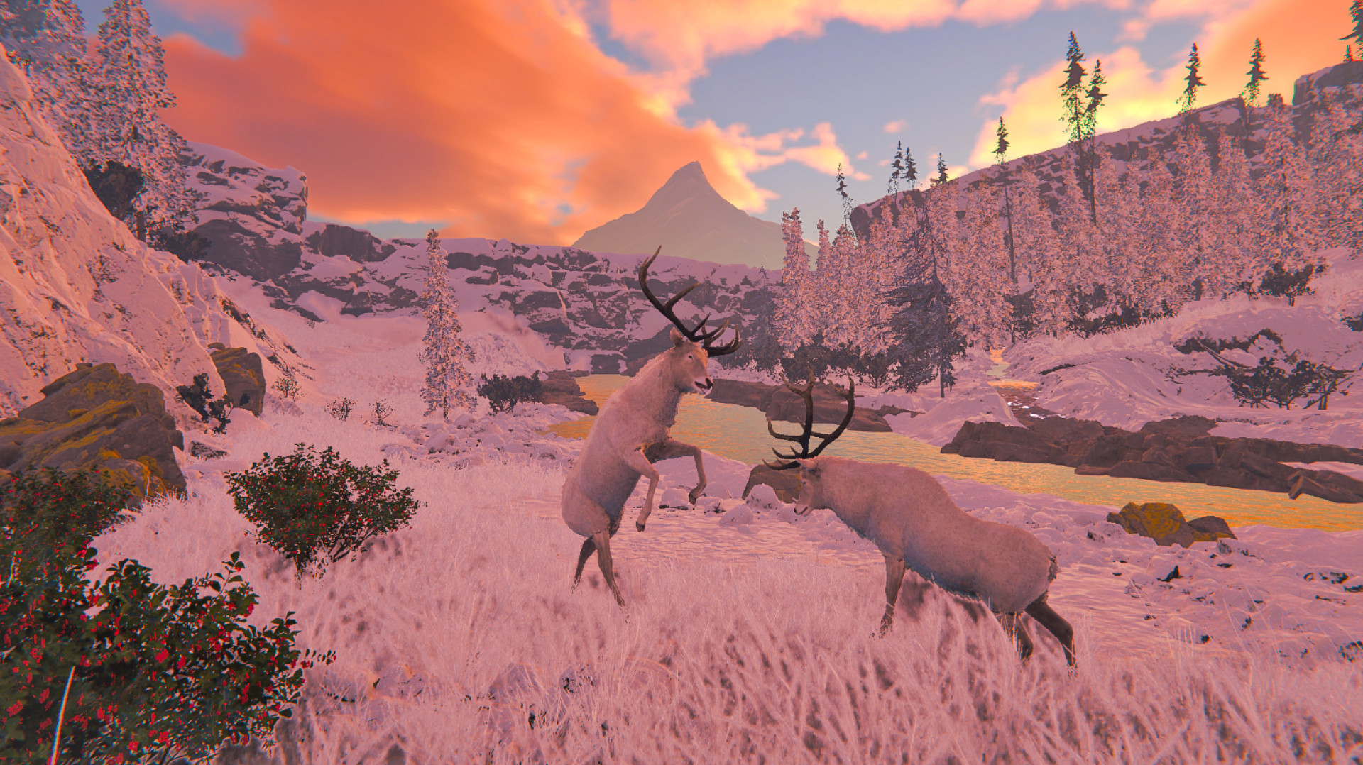 Alaska Gold Fever 6720