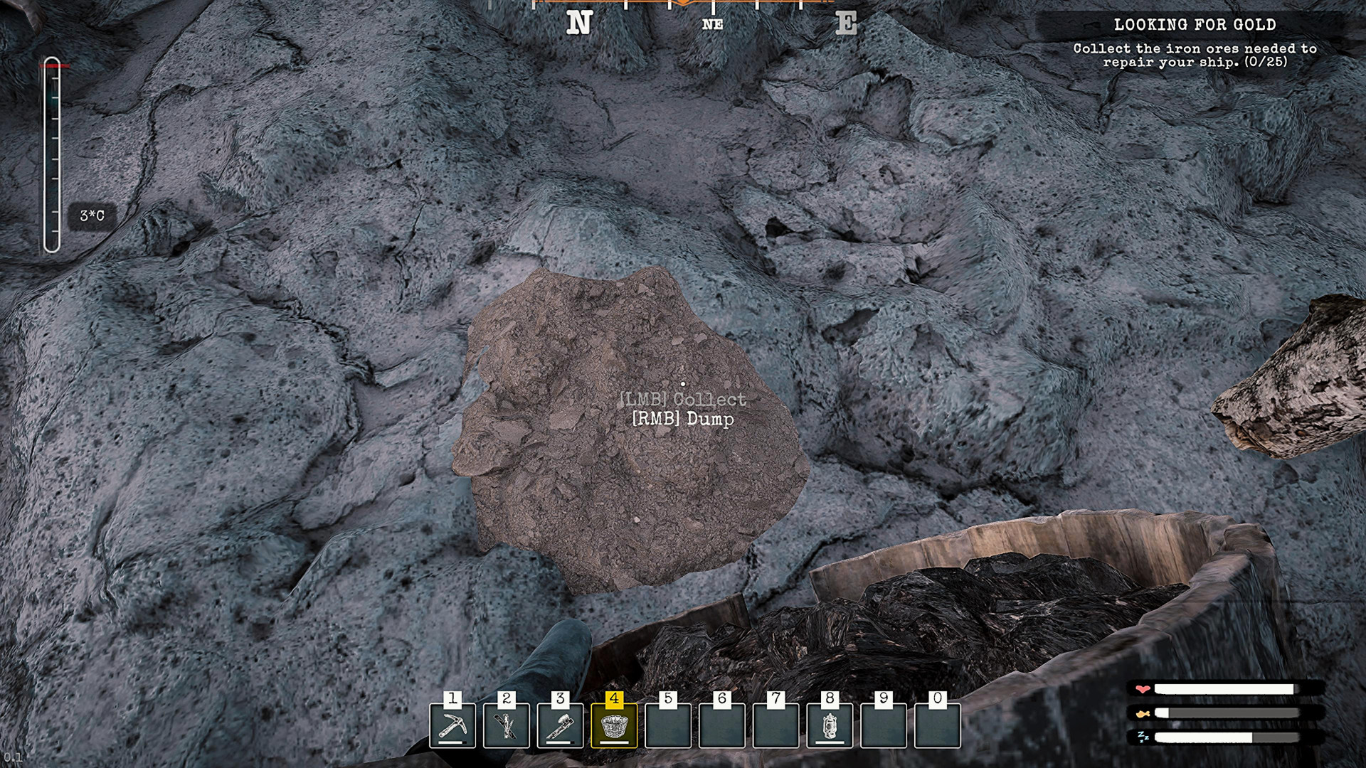 Alaska Gold Fever 6738