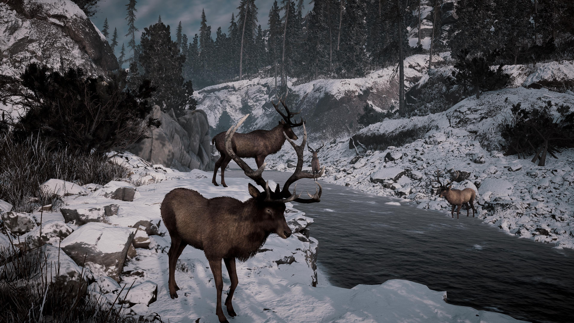 Alaska Gold Fever 6746