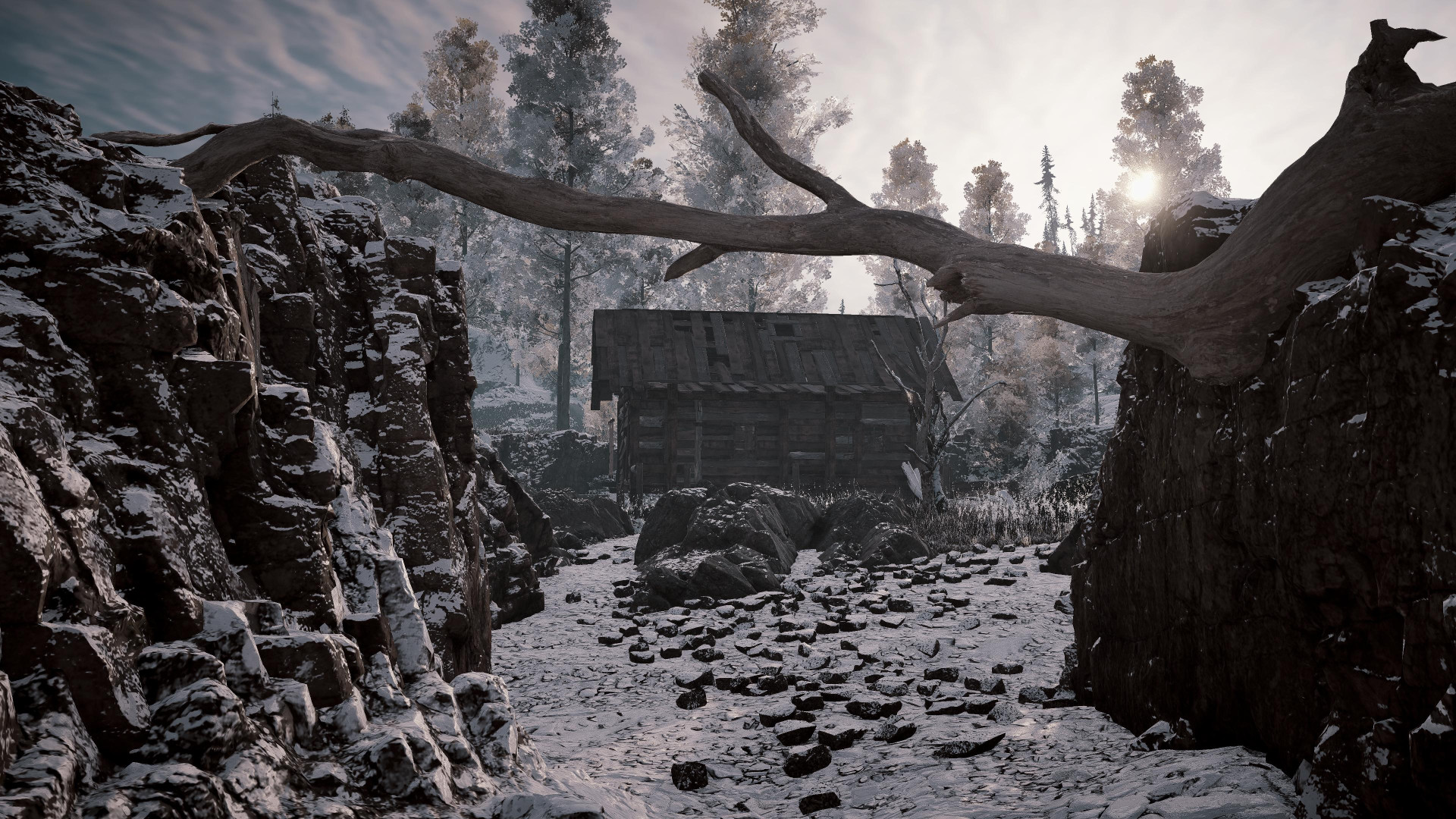 Alaska Gold Fever 6747