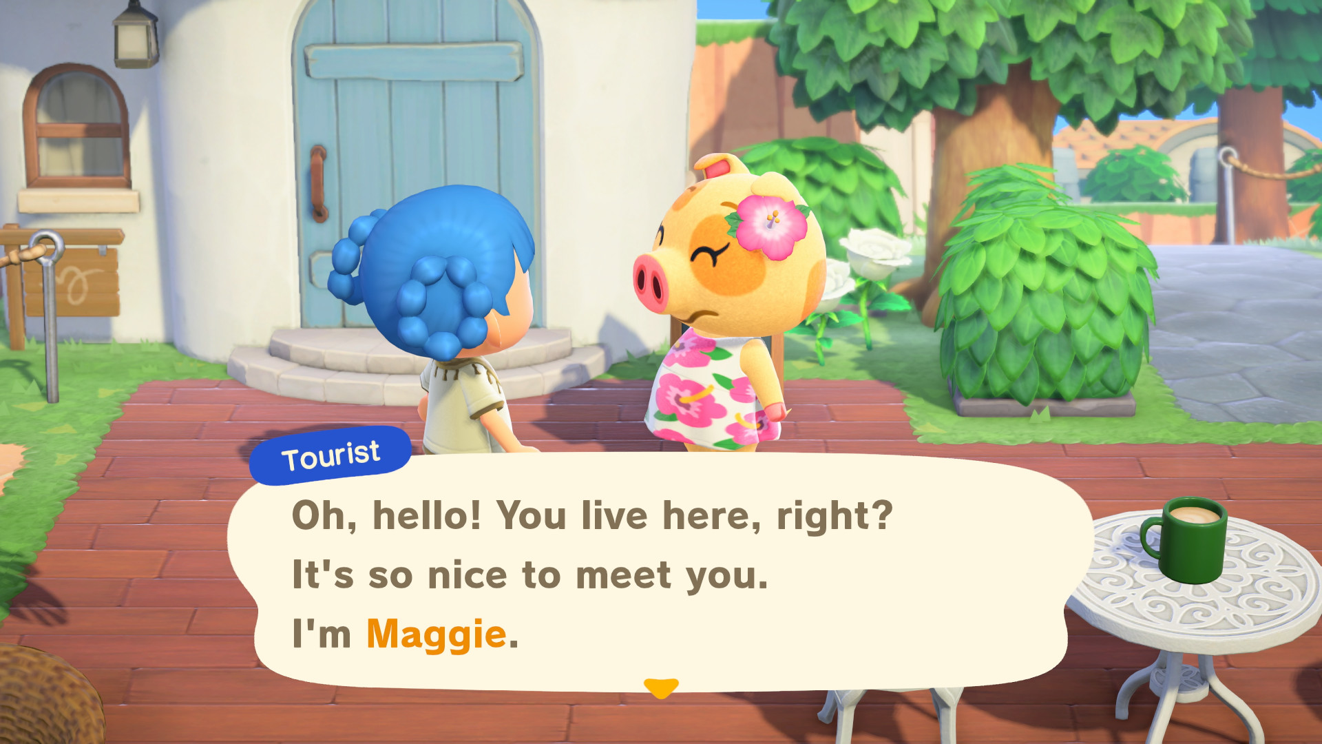 Animal Crossing: New Horizons – Nintendo Switch 2 Edition 2949