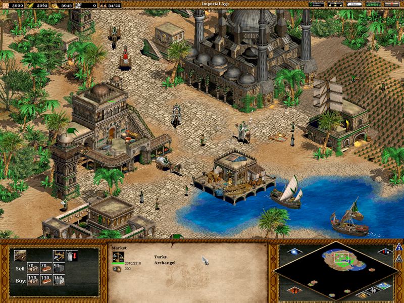 Age of Empires II: The Age of the Kings