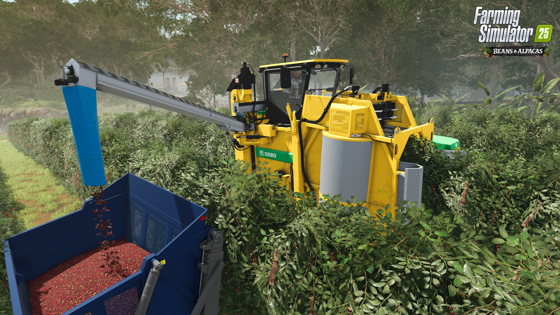 Farming Simulator 25: Beans & Alpacas Expansion 7693