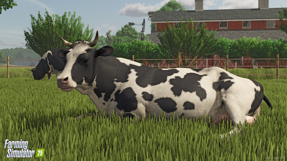 Farming Simulator 25 Farming Simulator 25