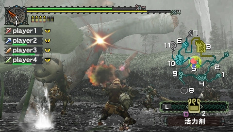 Monster Hunter Freedom 4963