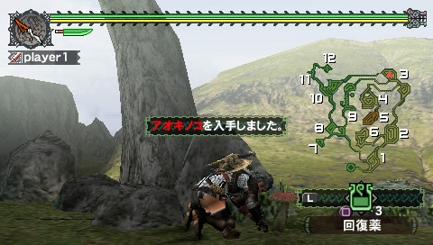 Monster Hunter Freedom 4969