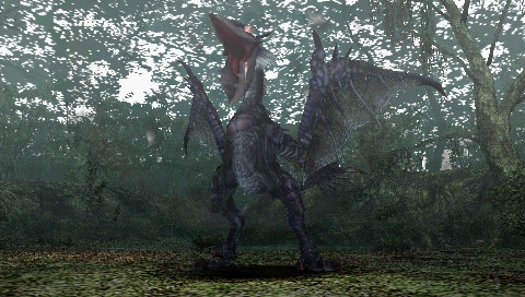 Monster Hunter Freedom 4979