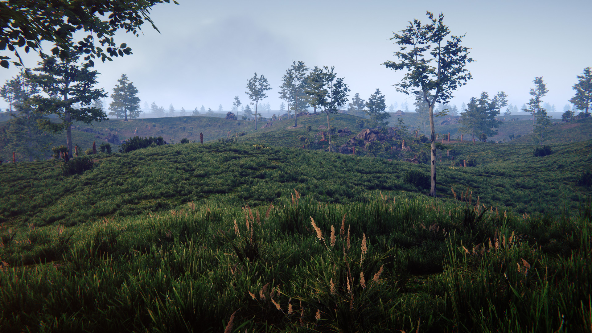 Over the Top: WWI 4394