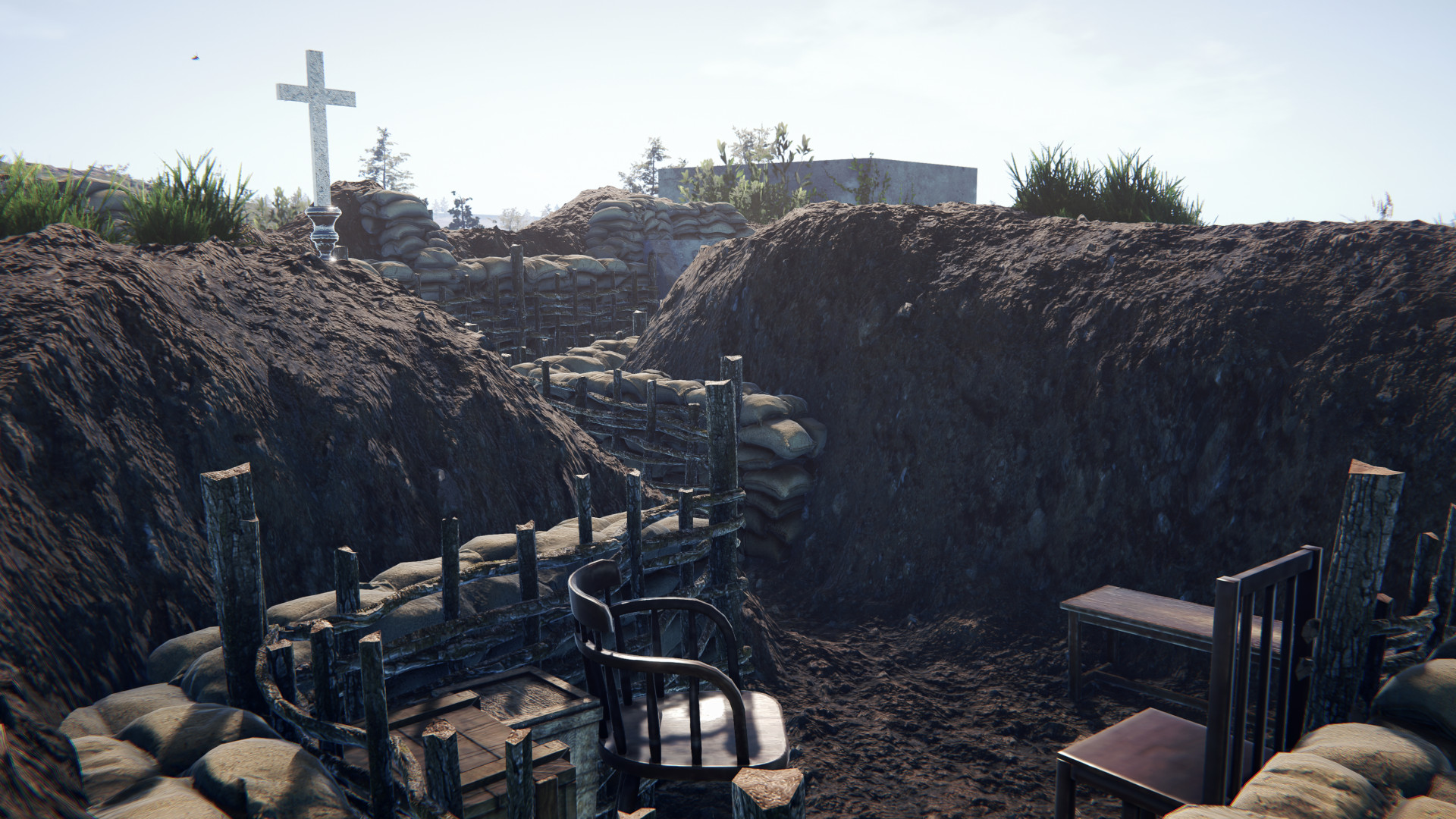 Over the Top: WWI 4396