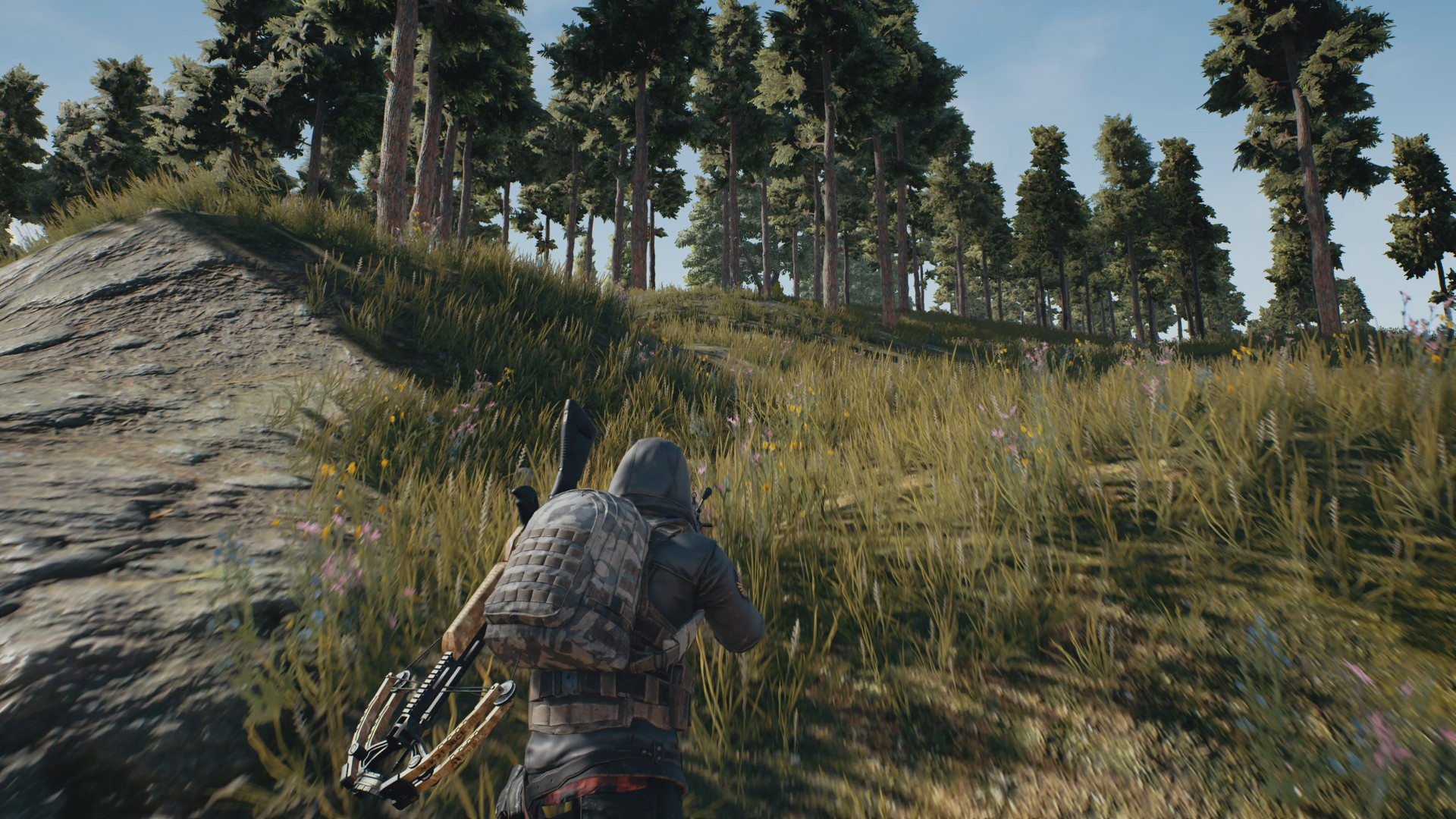 PlayerUnknown's Battlegrounds 6629