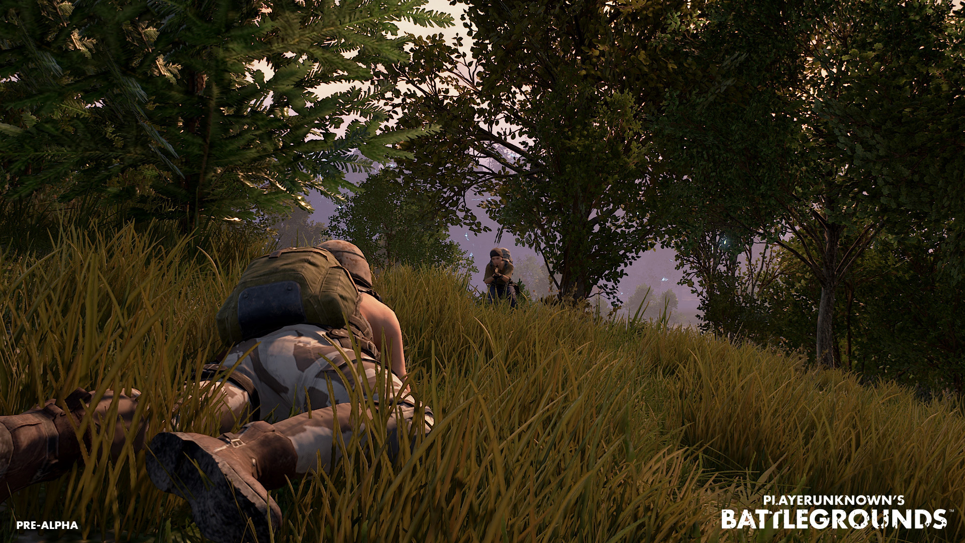 PlayerUnknown's Battlegrounds 6634