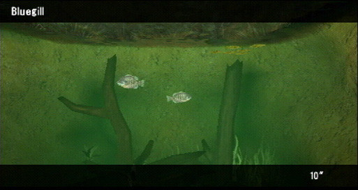 Reel Fishing: The Great Outdoors 6118