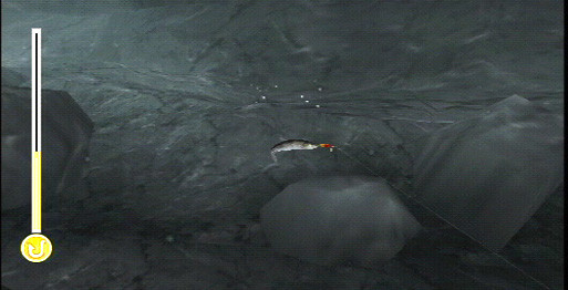 Reel Fishing: The Great Outdoors 6124 Reel Fishing: The Great Outdoors 6124