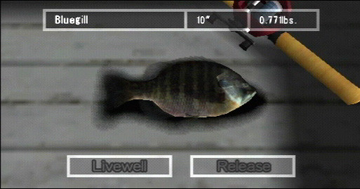 Reel Fishing: The Great Outdoors 6125 Reel Fishing: The Great Outdoors 6125