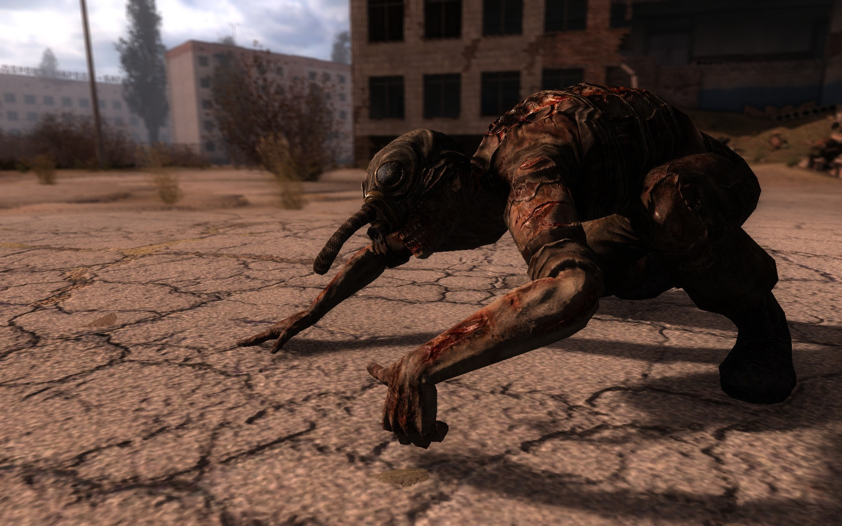 S.T.A.L.K.E.R.: Call of Pripyat 6144