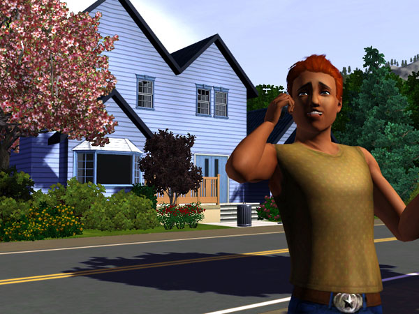 The Sims 3