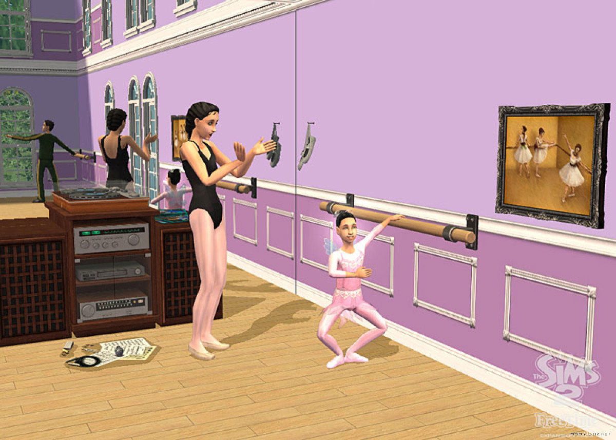 The Sims 2: FreeTime