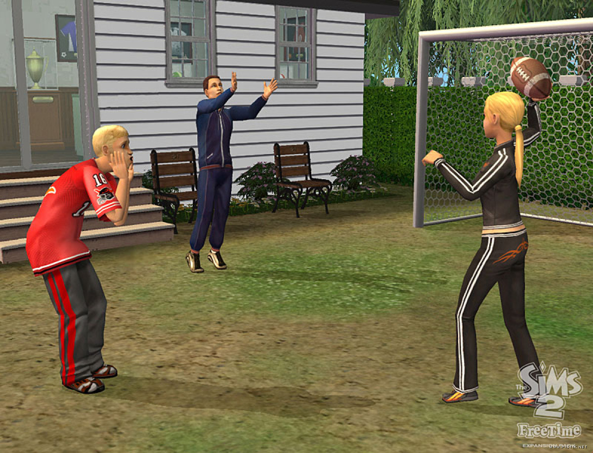 The Sims 2: FreeTime