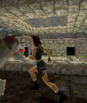 Tomb Raider 5925