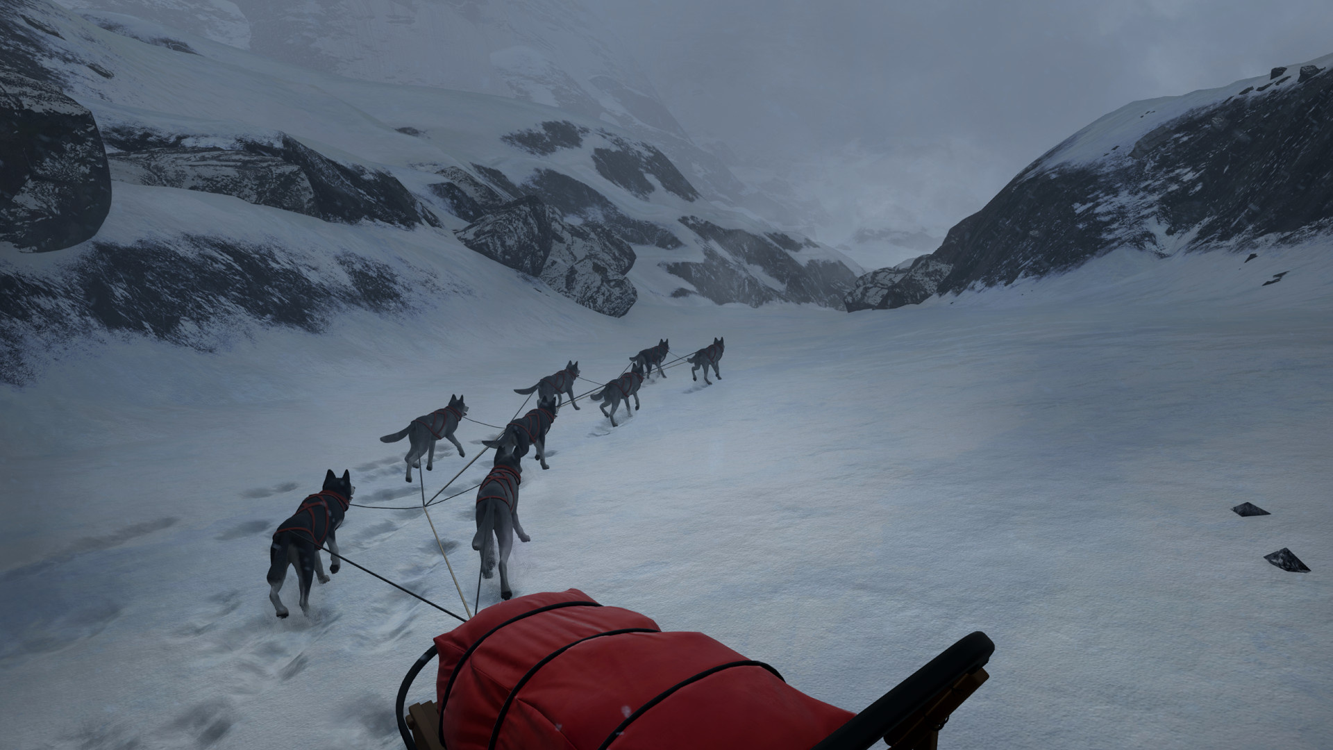 WILL: Follow The Light 5141