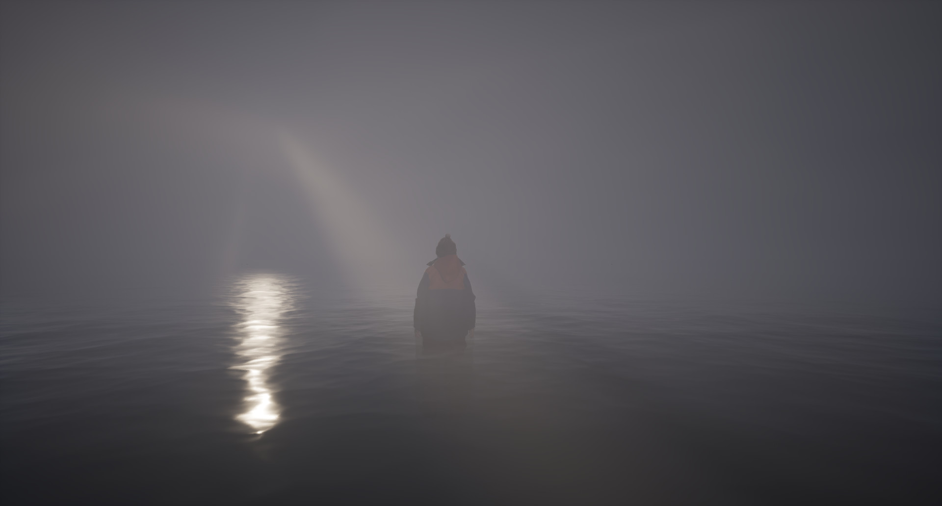 WILL: Follow The Light 5143