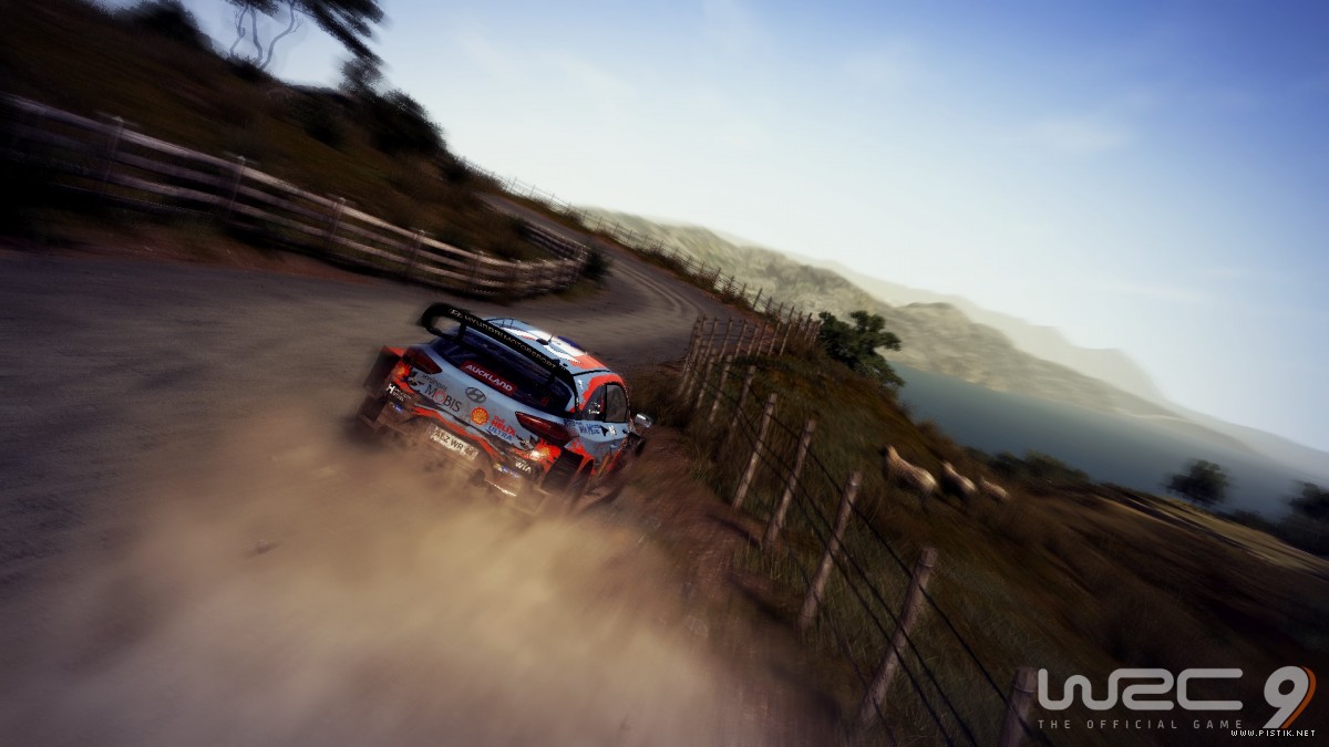 WRC 9