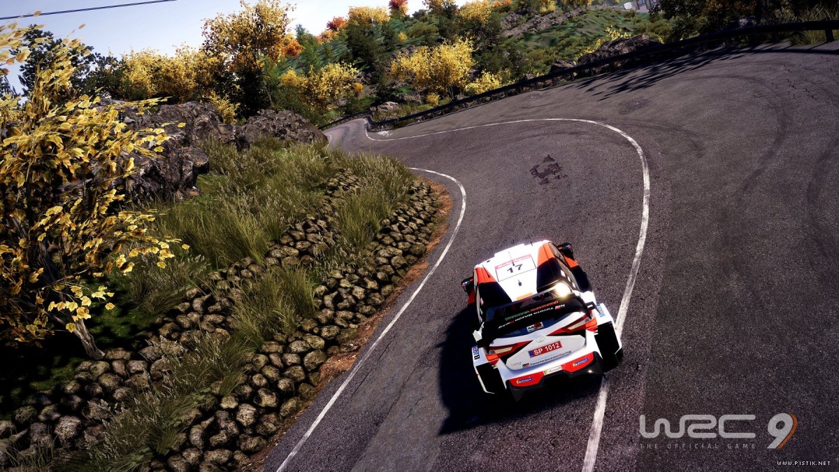 WRC 9