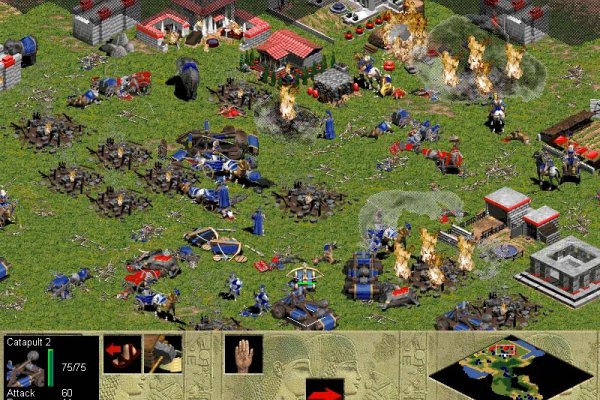 Age of Empires pilt 3476
