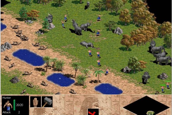 Age of Empires pilt 3484