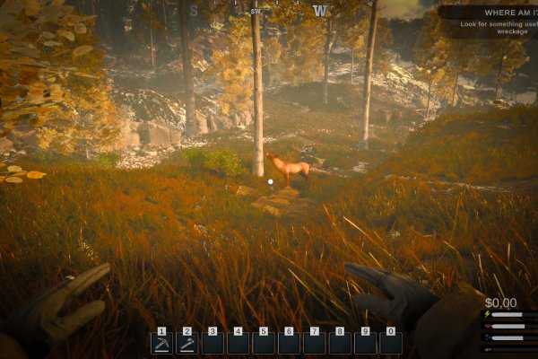 Alaska Gold Fever pilt 6703