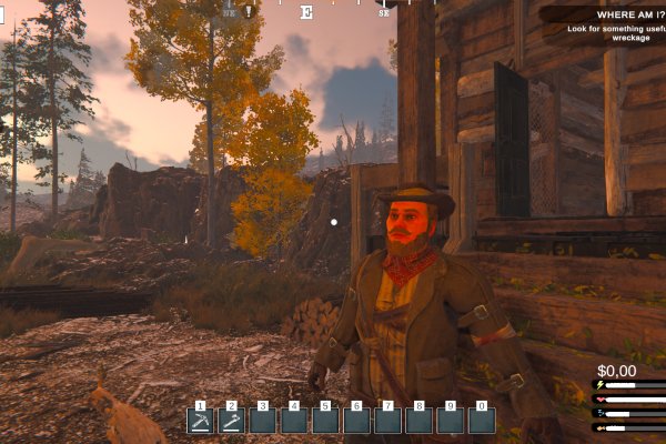 Alaska Gold Fever pilt 6707