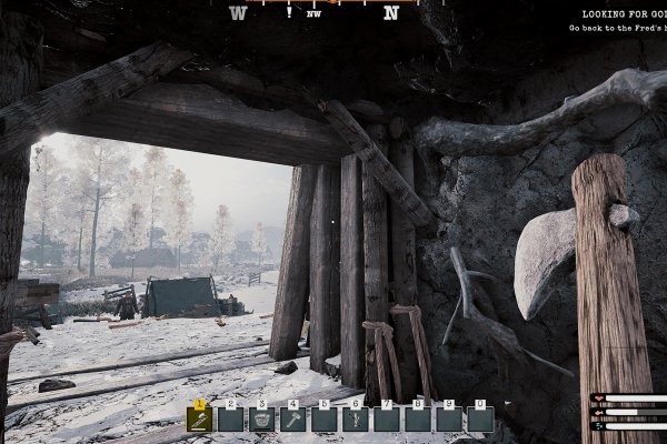 Alaska Gold Fever pilt 6718