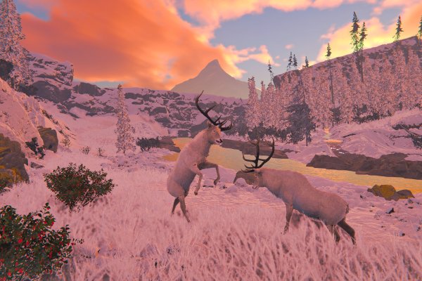 Alaska Gold Fever pilt 6720