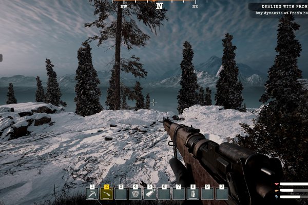 Alaska Gold Fever pilt 6731