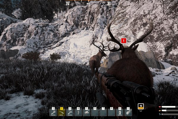 Alaska Gold Fever pilt 6734