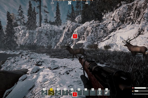 Alaska Gold Fever pilt 6735