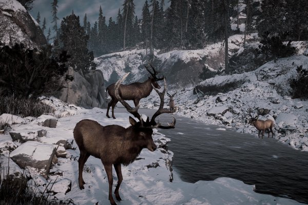 Alaska Gold Fever pilt 6746