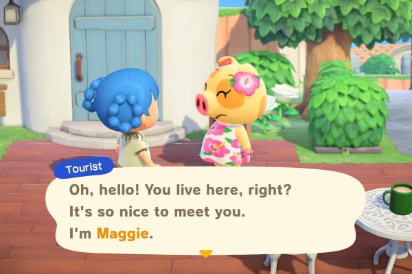 Animal Crossing: New Horizons – Nintendo Switch 2 Edition pilt 2949