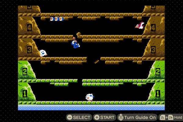 Animal Crossing: New Horizons – Nintendo Switch 2 Edition pilt 2953