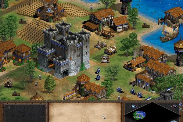 Age of Empires II: The Age of the Kings pilt 520